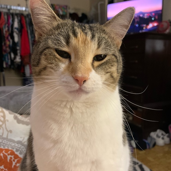 Meet your Posher, Jessica - Picture 6 of 8